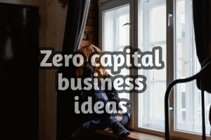 Read more about the article Mind blowing Ideas: Top 50 Zero capital business ideas