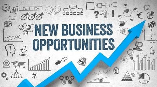 Top 10 Profitable Business Opportunities to start in Nigeria with between ₦10,000 to ₦100,000 (2024)