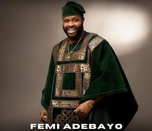 Read more about the article Femi Adebayo Net Worth 2024